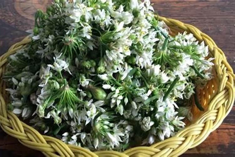 请问我打什么农药能让韭菜花叶子又粗又大花苔又多