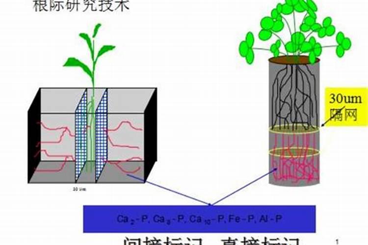 如何提高氮肥磷肥钾肥的利用率