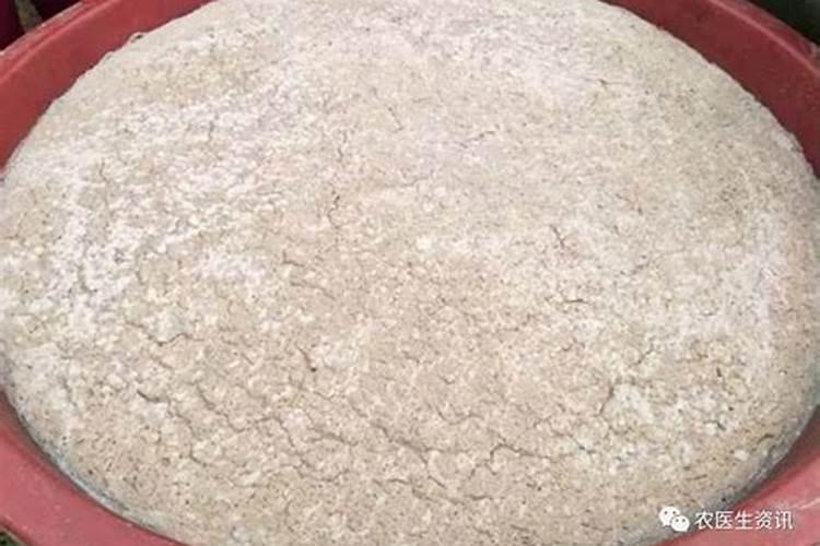 花生麸水液肥制作方法花生麸液肥如何自制