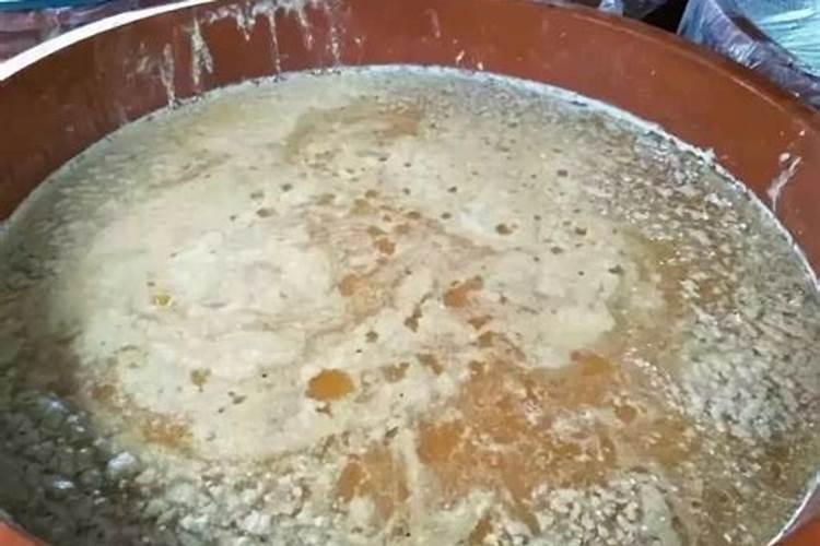 九层塔施什么肥料最好