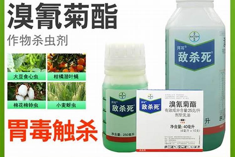 大蒜抽苔前冲施什么肥料好