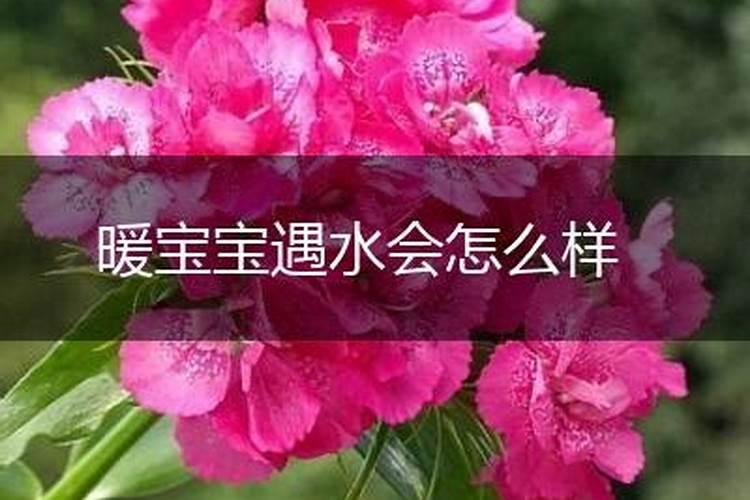 磷肥可以兑水浇吗