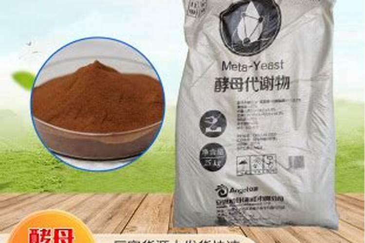 桃子的种植方法 种植桃子的技巧
