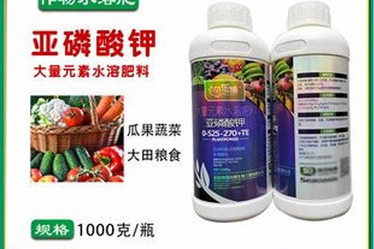 种草莓只用中量元素水溶液可以吗