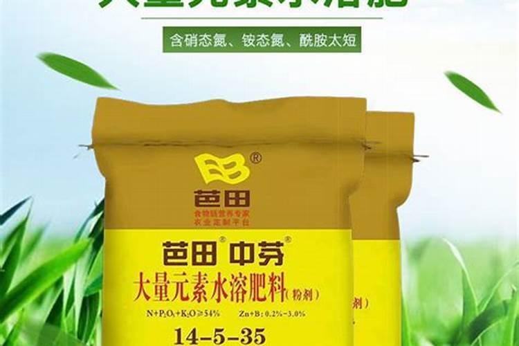 粽子为什么会粘在叶子上 如何让粽子不粘粽叶