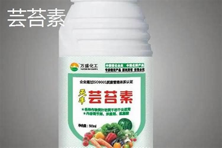 玉米专用肥的最佳配方