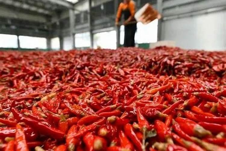辣椒水溶肥选择什么牌子好？
