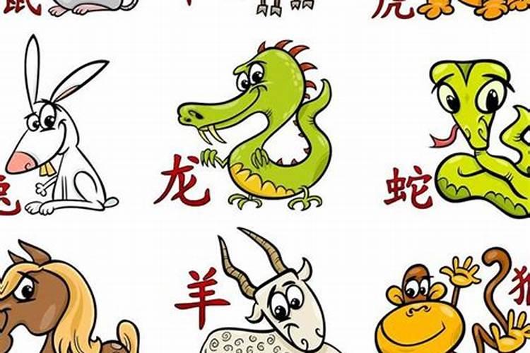 金木水火土相生相克表五行生肖,十二生肖金木水火土怎样分