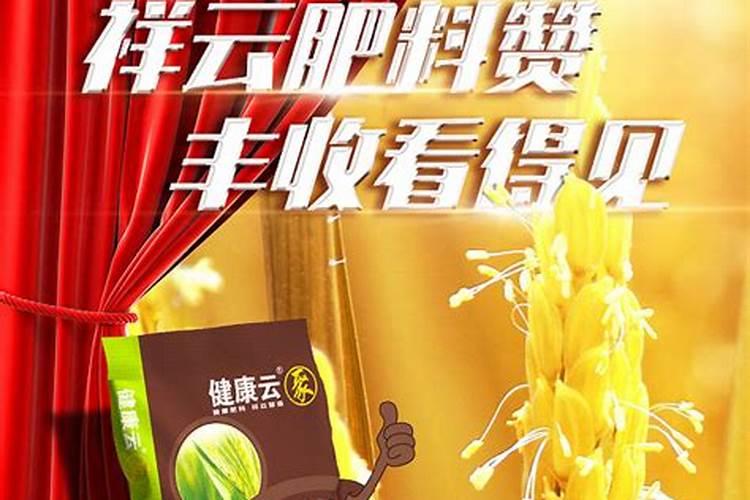 化肥属于什么板块