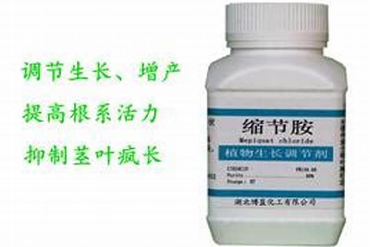 甲哌鎓98%能在草莓花期用吗？