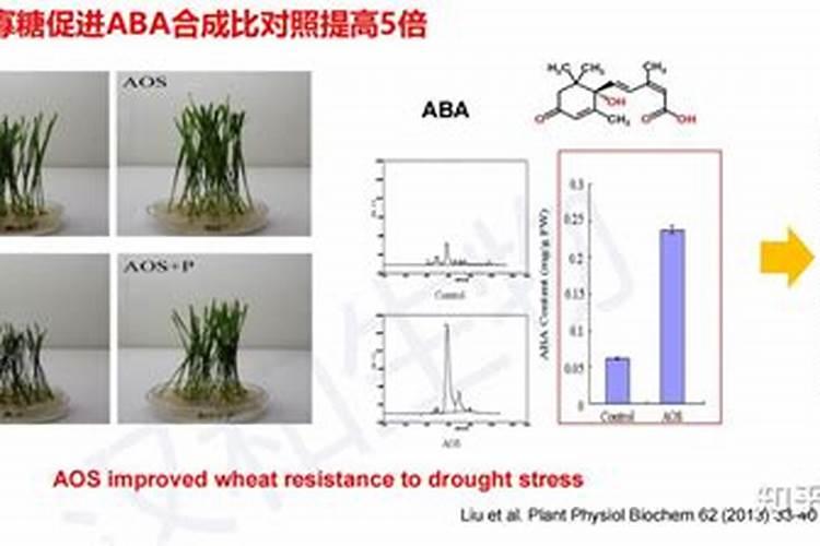番茄卷叶最佳配方