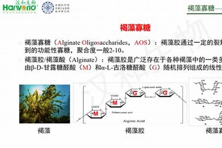 颗粒水溶肥科普:褐藻寡糖有什么作用？