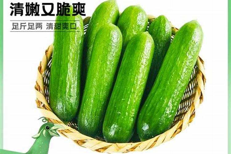 什么样的有机肥比较好？