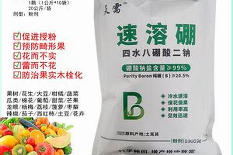 葡萄小苗用什么肥长得快