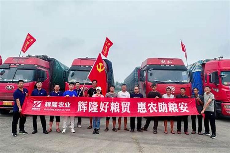 叶面肥价格一般是多少 如何选购好用的叶面肥料