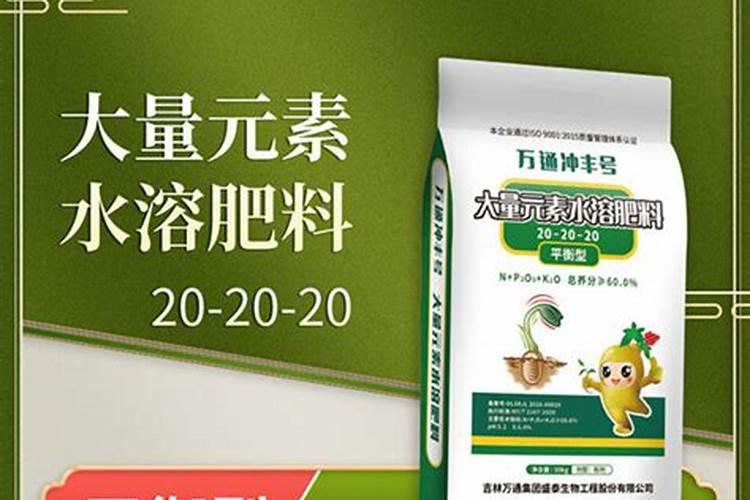 RNA聚合酶基本介绍
