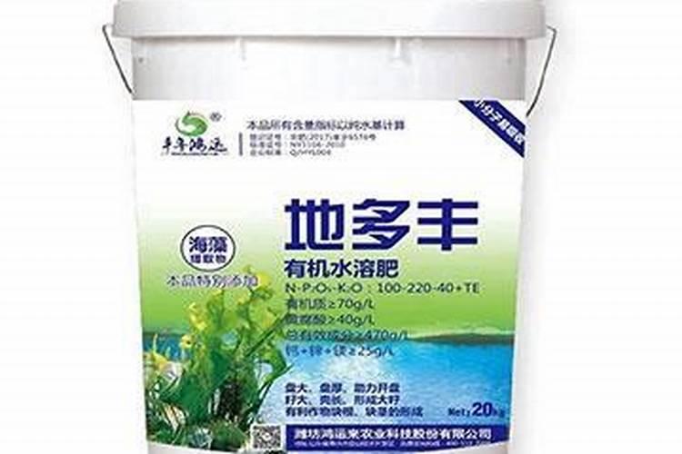 鸿运当头母株如何处理