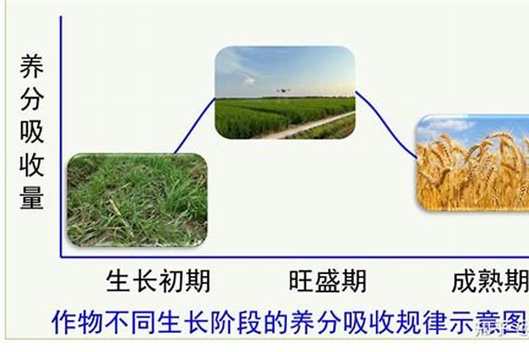 四川云顶复合3个17平衡复合肥效果怎么样