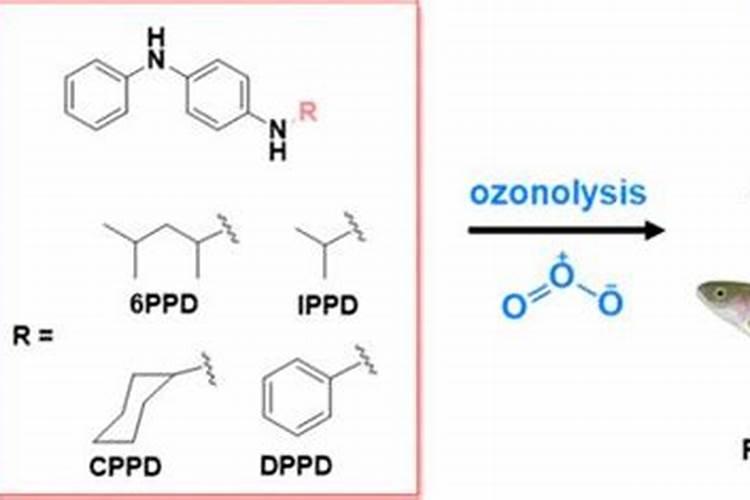 水产养殖臭氧对水质消毒,亚硝盐处理