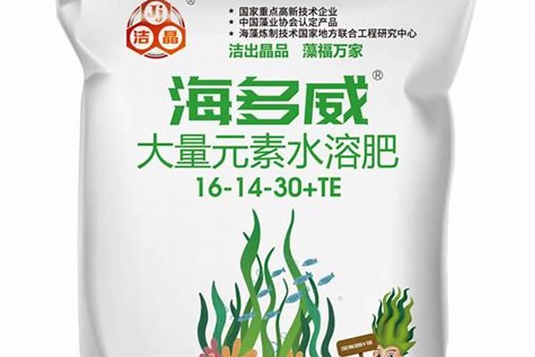 海藻液肥能在玉米上使用吗？
