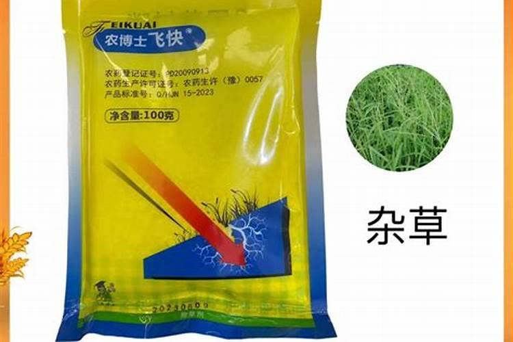 春天给果树施肥有什么注意事项吗