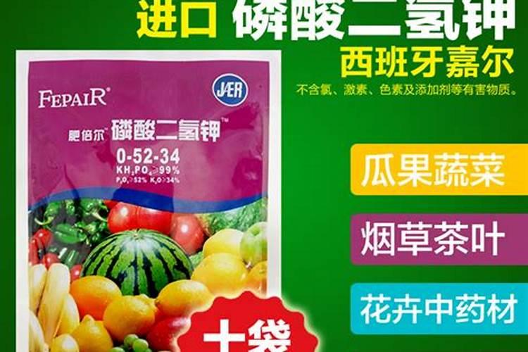 生根如何培养