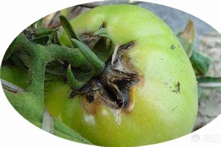 福州哪有自己可以烧烤的地方么