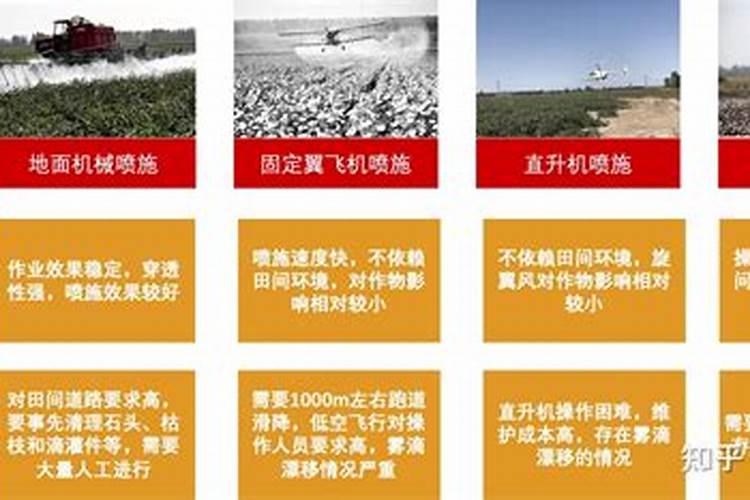 棉花后期需要什么肥料