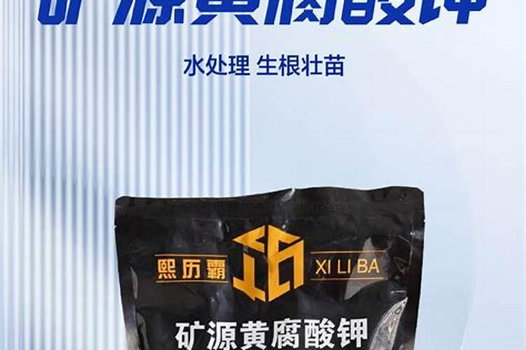 水仙花怎样养？