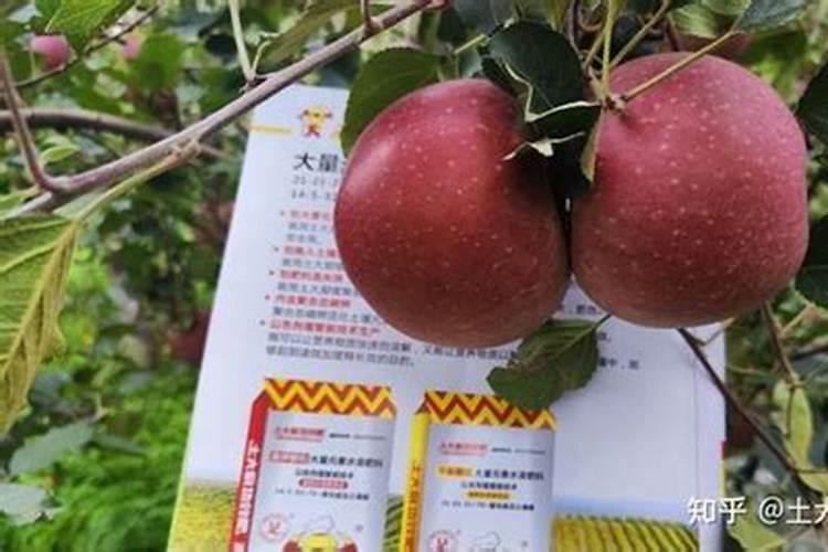 小果型西瓜脐腐果有何防治方法