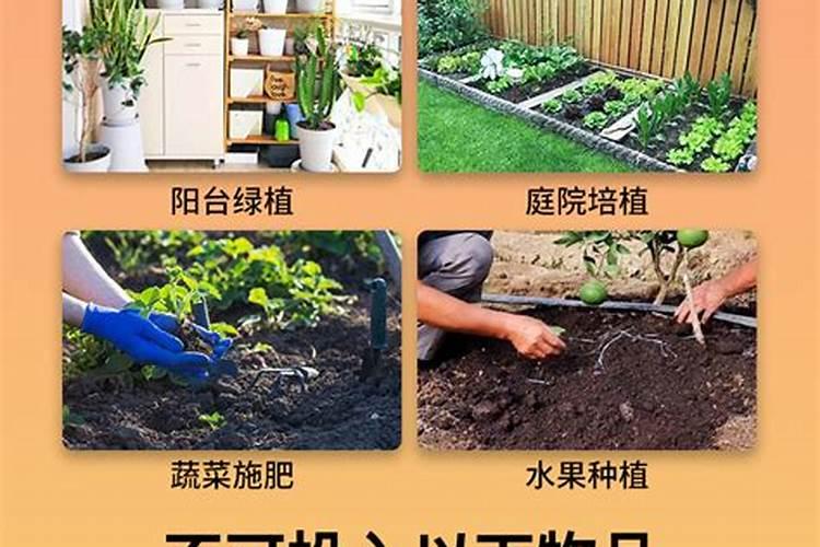 树叶怎么沤肥