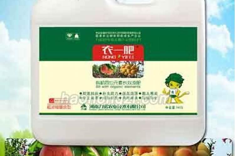 如何修剪杏树更好？应该定期给杏树浇水施肥吗？