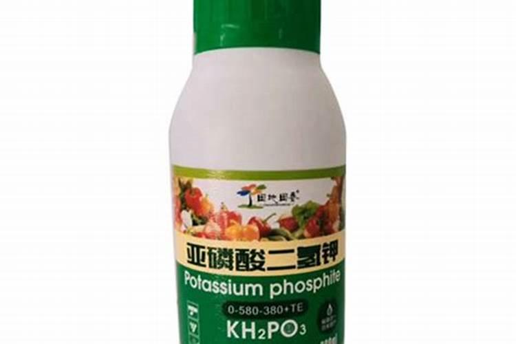 汇青舒宁素在哪里买多少钱