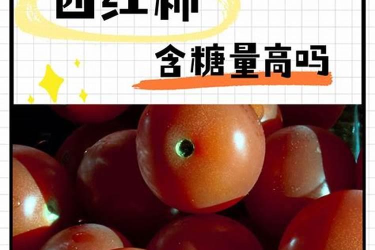 大番茄什么时期补充钙肥合适