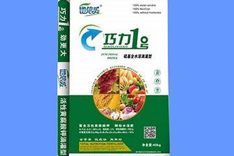 兰花如何浇水和防虫长势才更旺