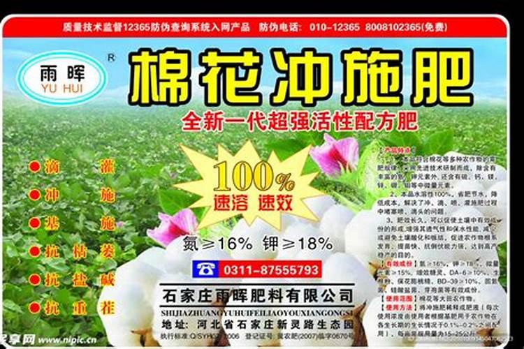 小麦蚜虫红蜘蛛用什么药防治？
