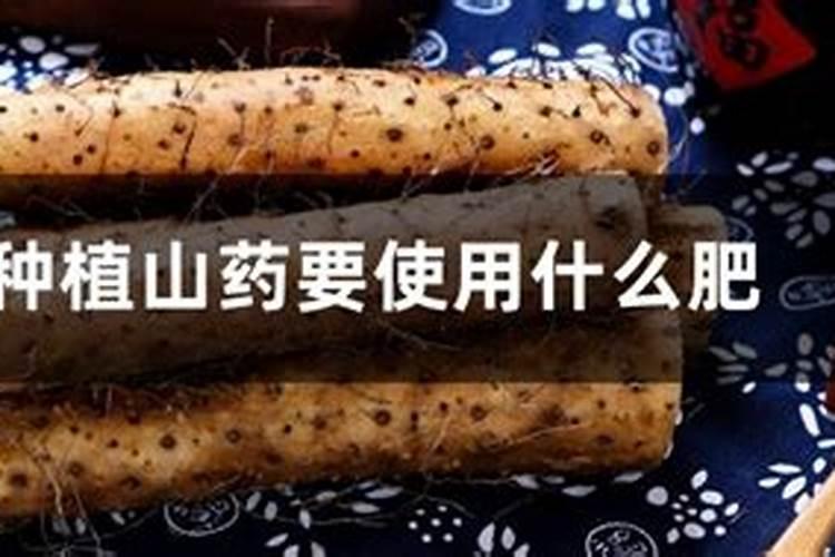 种山药用什么肥料最好