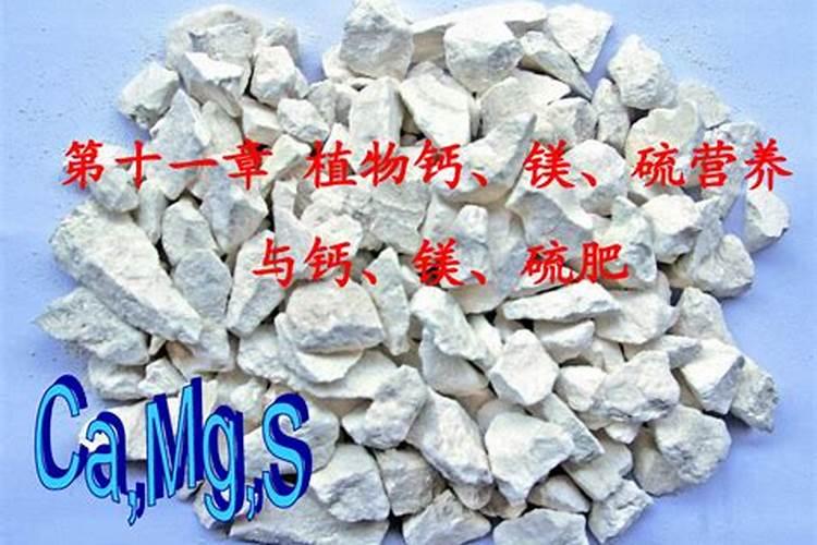 棉花施钾肥最佳时间