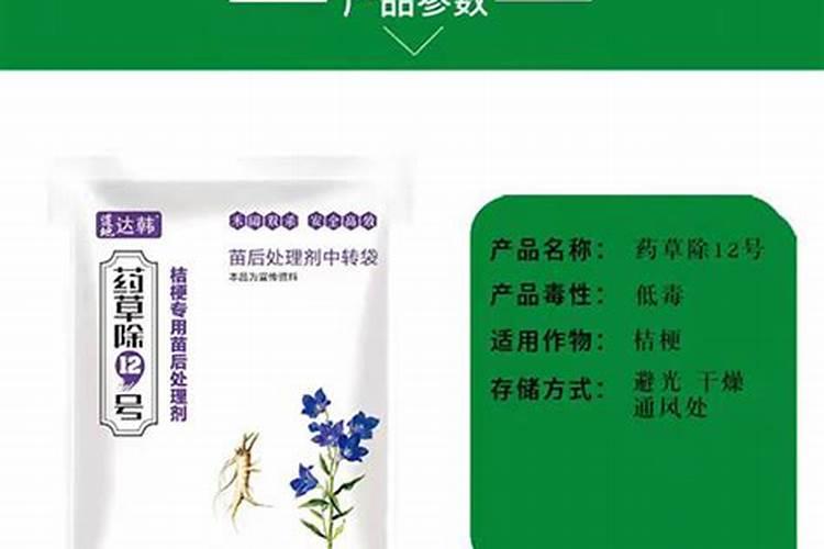桔梗种植方法 桔梗种植方法介绍