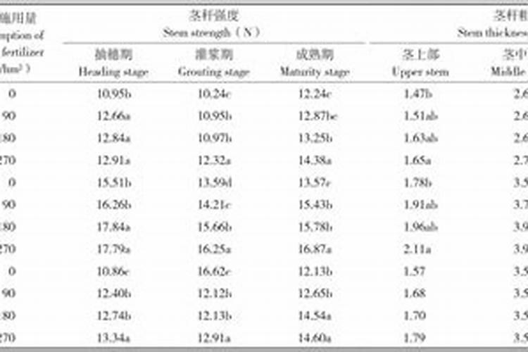 硅肥在水稻的作用及使用方法