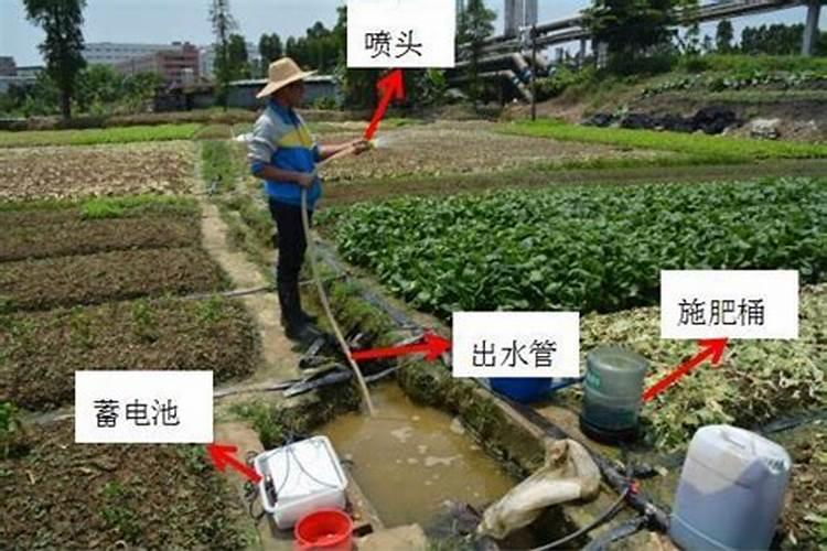 灭幼脲是什么