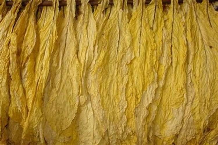 种烤烟用什么肥料好？