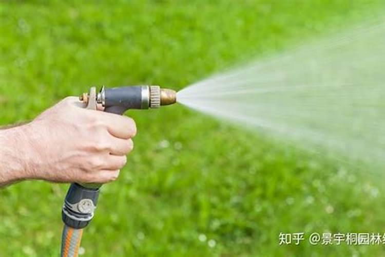 草坪撒完尿素多久能浇水
