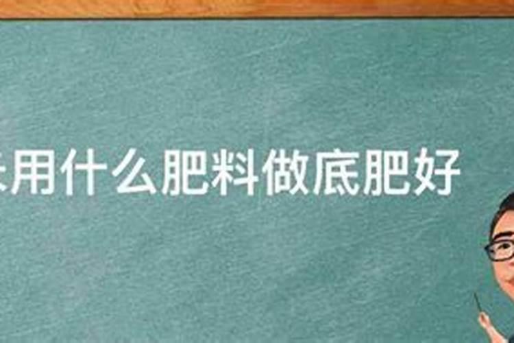 种玉米底肥用什么肥料好