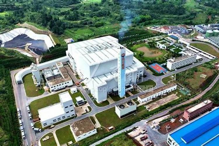 我国生产盐的上市公司有哪几家？