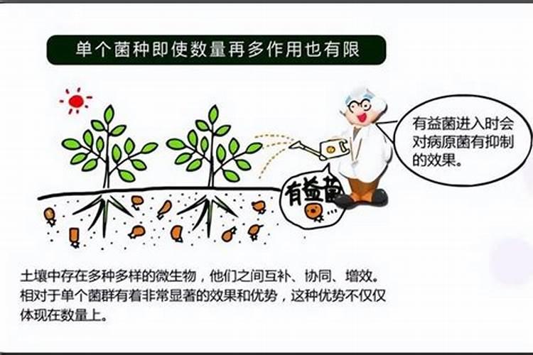 叶面肥的作用具体有哪些？