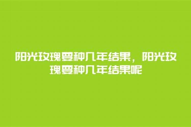 枯草芽孢杆菌是怎样起到抗菌作用的？