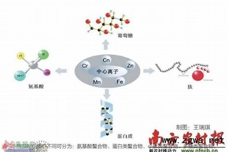 银川大学城简介