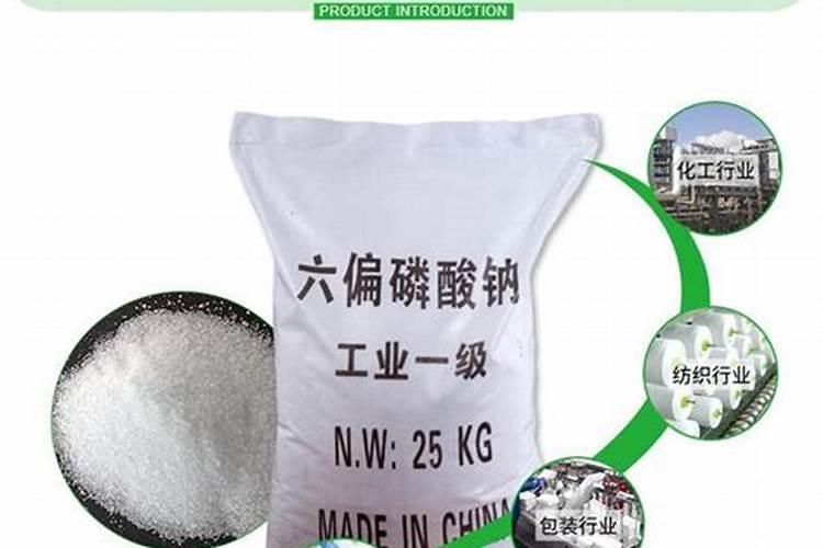 种上苜蓿草什么时候浇水