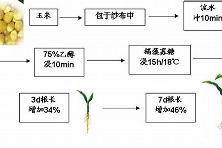 想要防治辣椒紫斑病,应该如何防治？